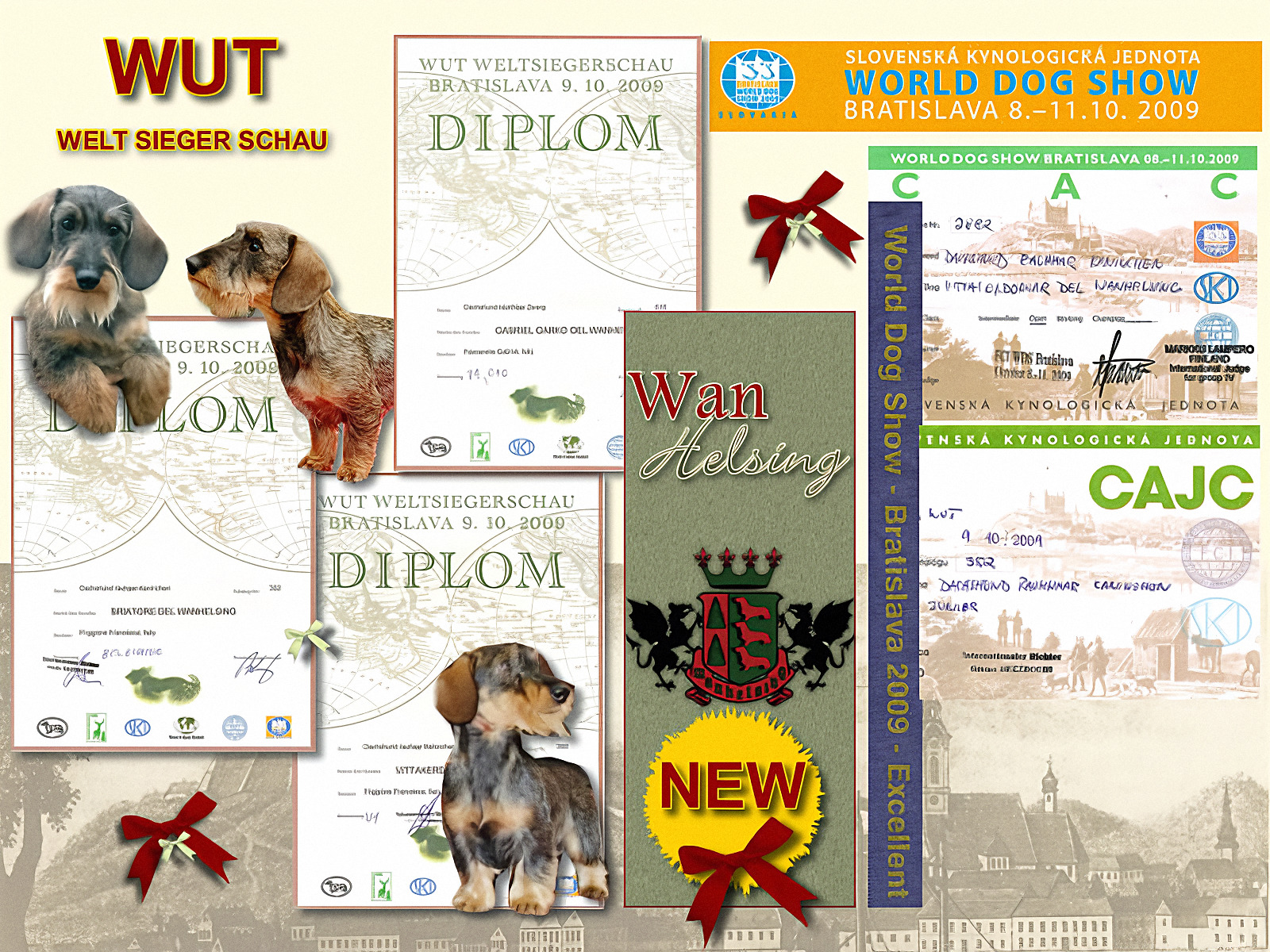 Archive page: diplomas from the WUT Weltsiegerschau, Bratislava 2009, with photographs of the house's wirehaired dachshunds