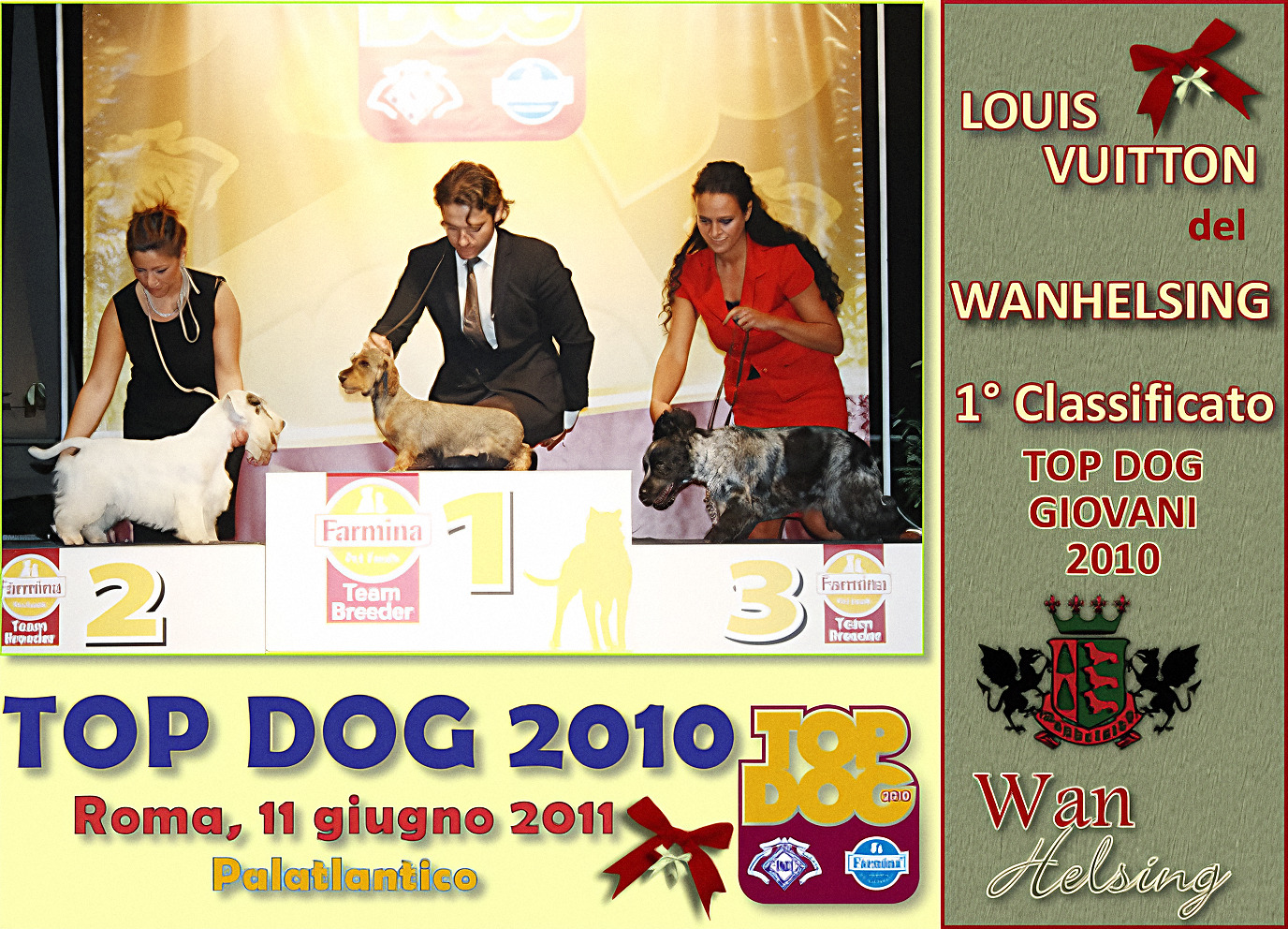 Archive page: LouisVuitton del Wanhelsing first on the Top Dog Giovani 2010 podium at the finale in Rome