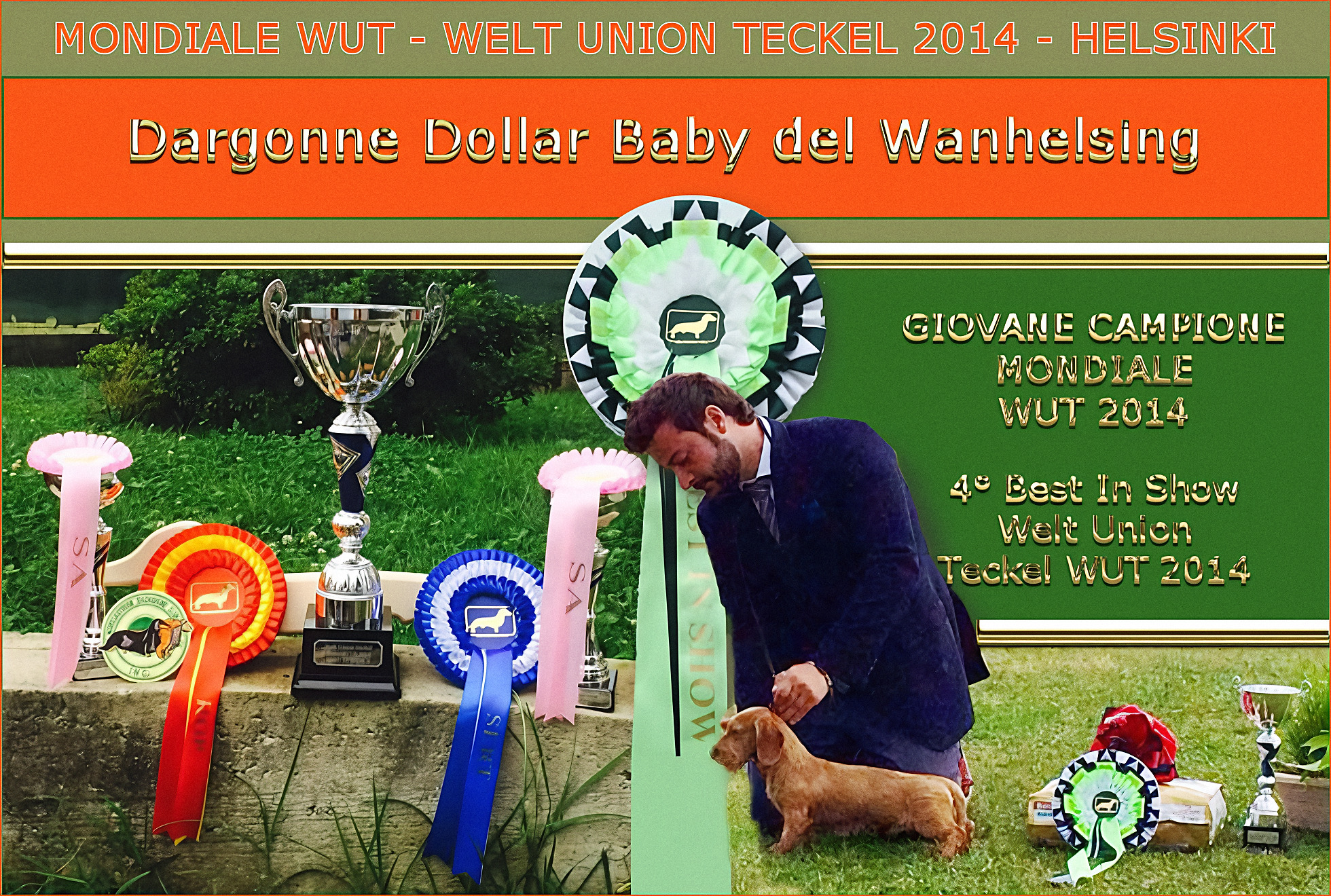 Archive page: Dargonne Dollar Baby del Wanhelsing with rosettes and cup — Giovane Campione Mondiale, WUT 2014, Helsinki