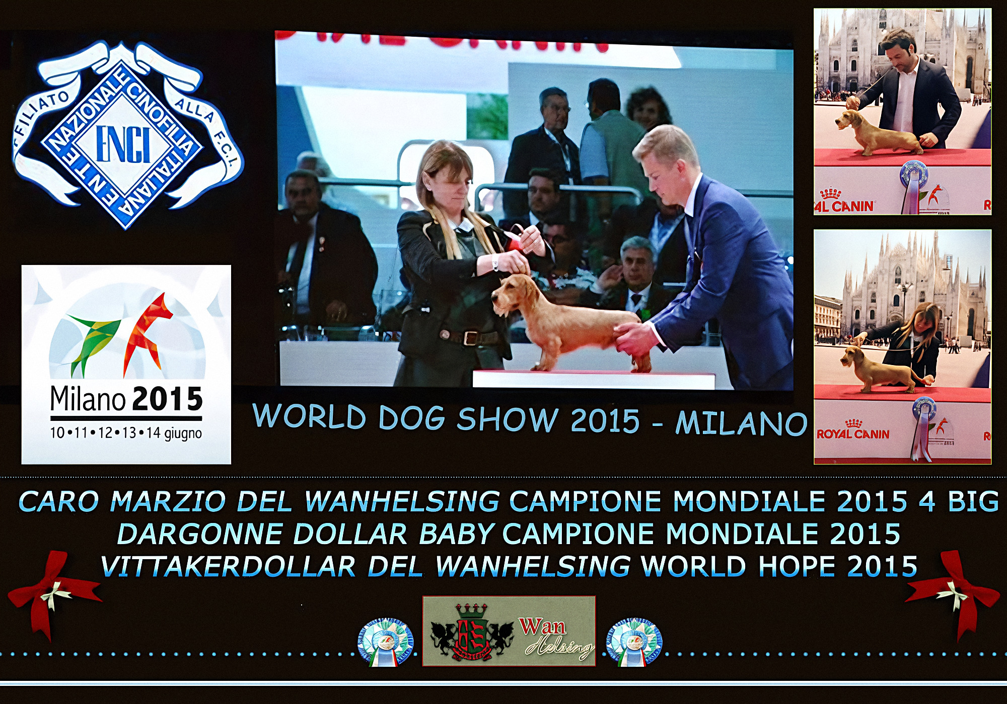 Archive page: World Dog Show 2015 in Milan — Caro Marzio and Dargonne Dollar Baby, world titles of the house